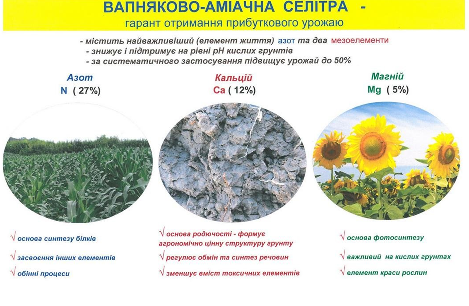 image-7fe1109771.png