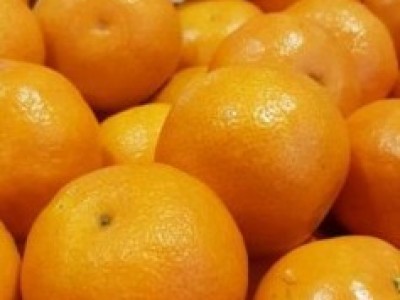 Мандарины Клементин
