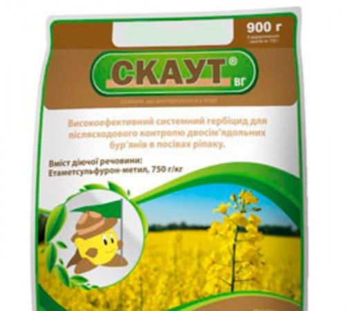 Скаут ВГ (Сальса)