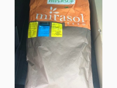 гібрид соняшника  Гіперсол КЛ  (Hipersol CL) Іспанія