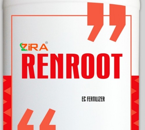 Zira Renroot