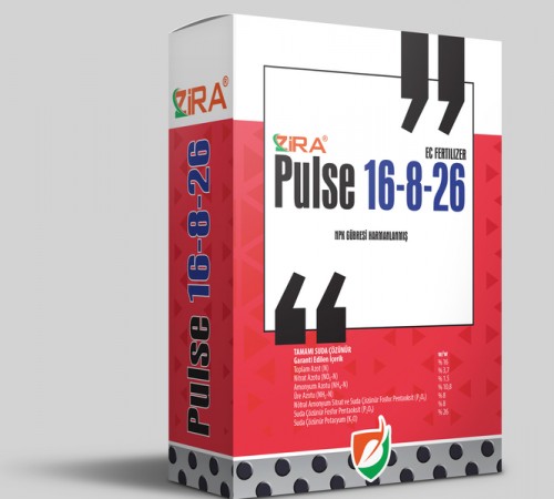 Zira Pulse 16-8-26