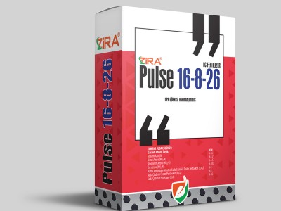 Zira Pulse 16-8-26