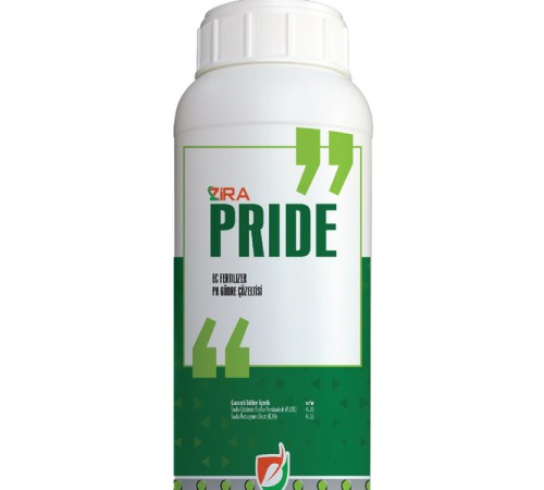 Zira Pride