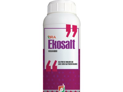 Zira Ekosalt