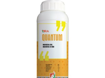 Zira Quantum